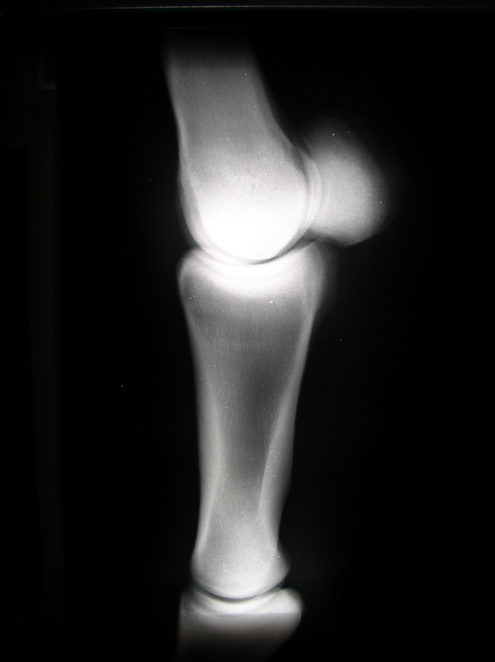 P1010047.JPG