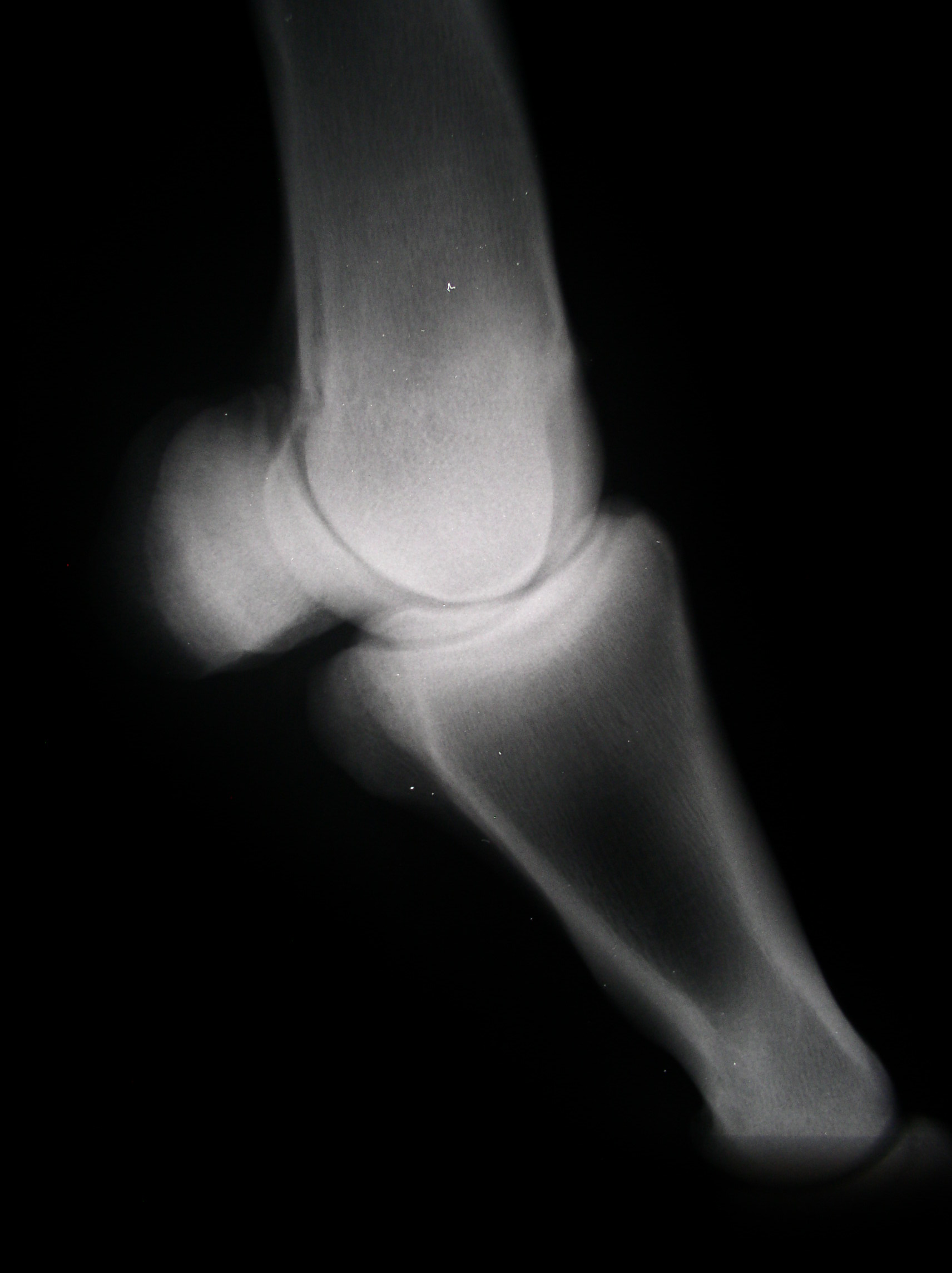 P1010053.JPG