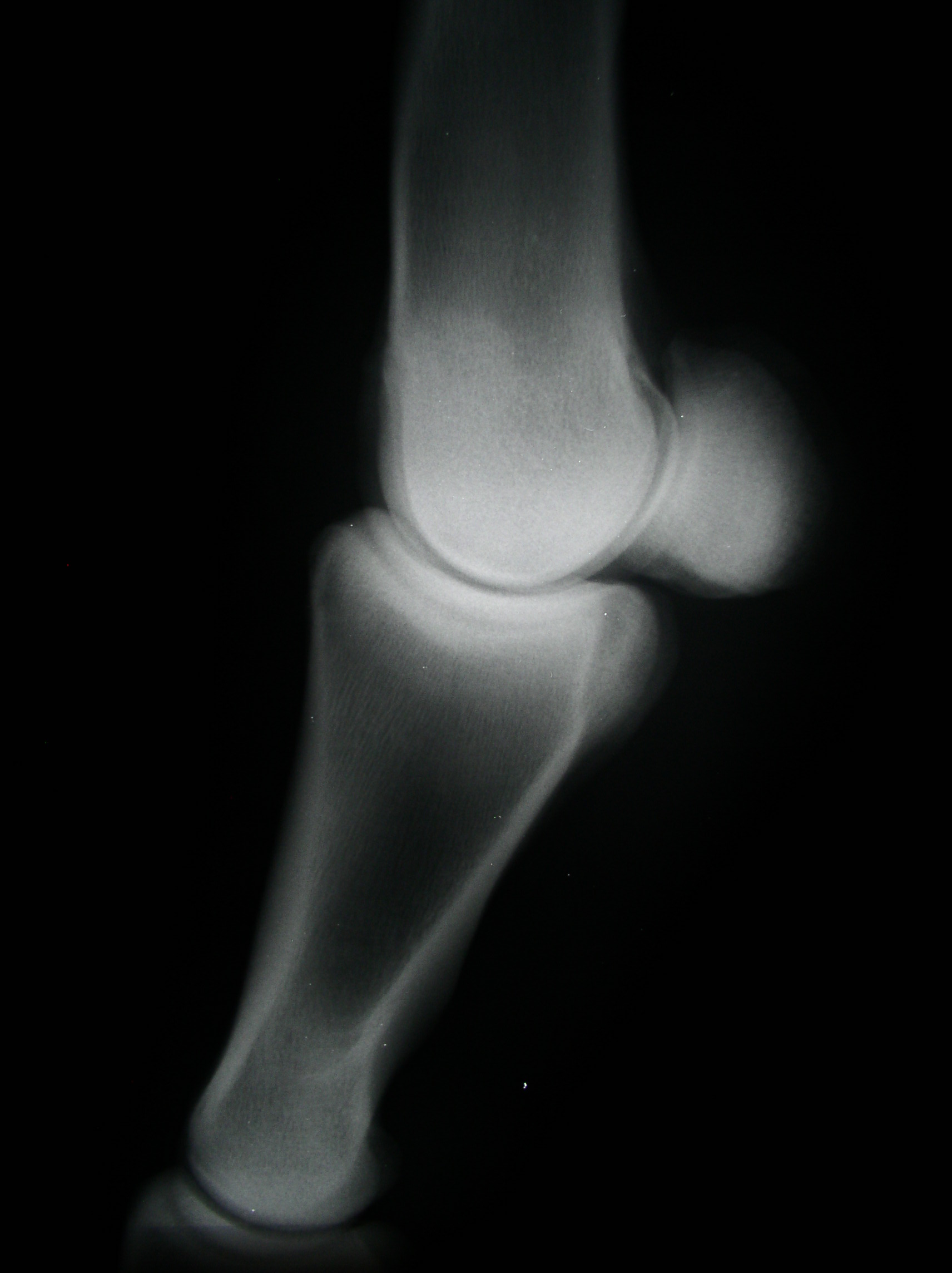 P1010054.JPG
