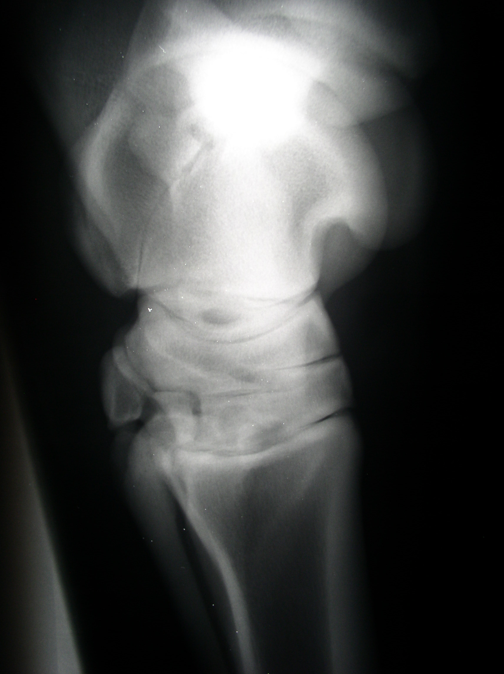P1010055.JPG