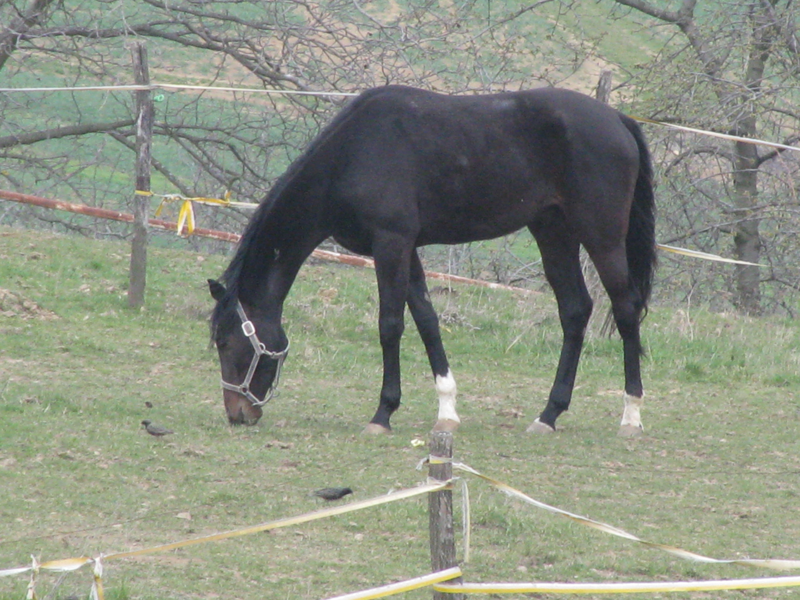 IMG_0645.JPG
