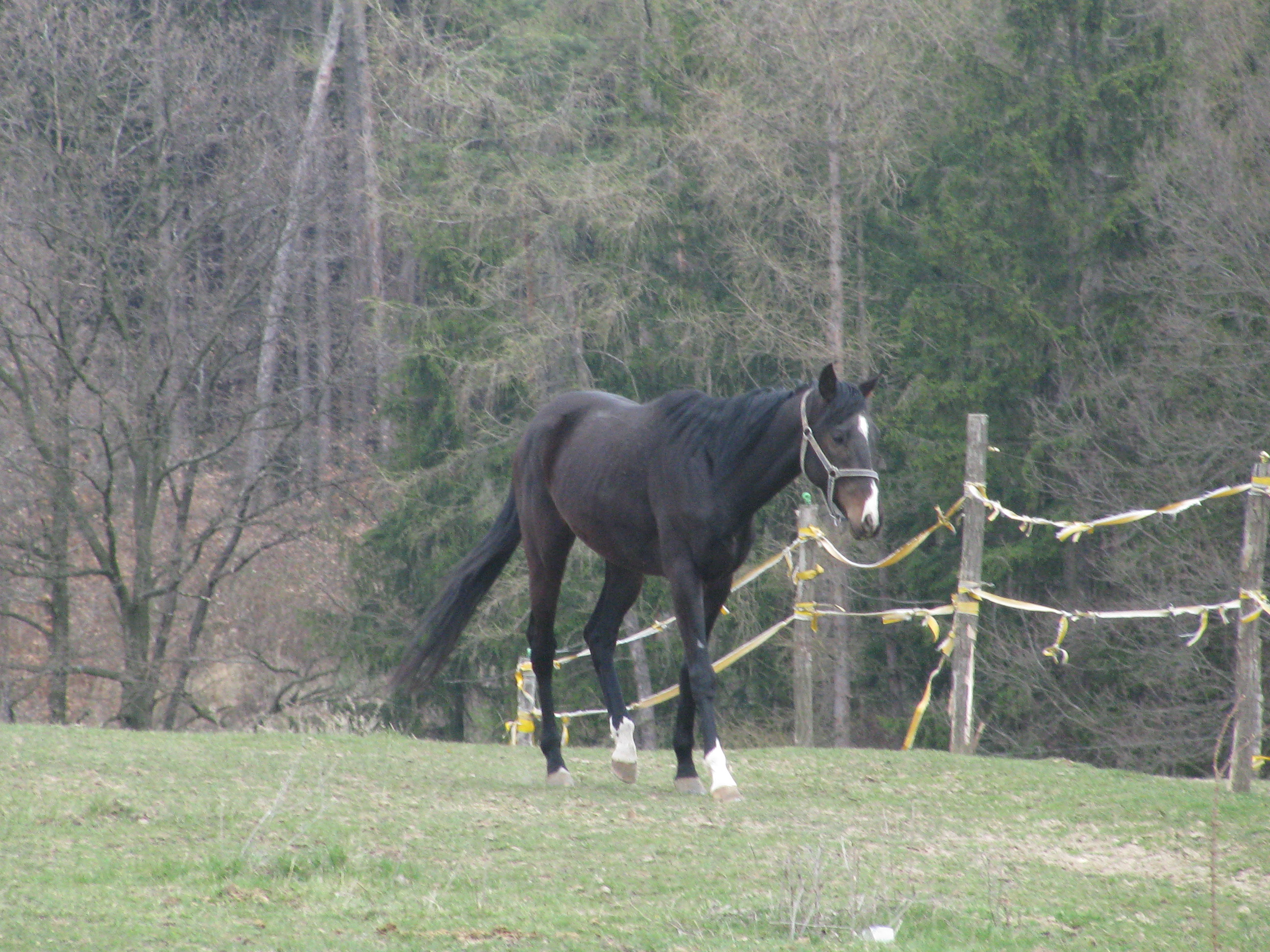 IMG_0647.JPG