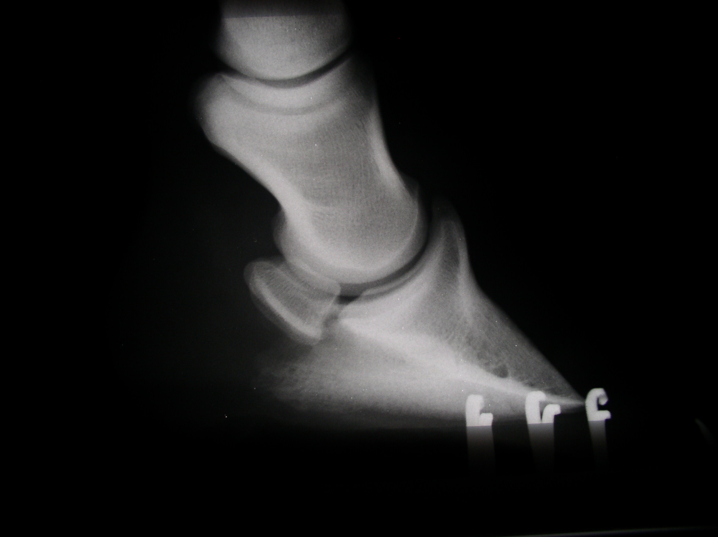 P1010044.JPG